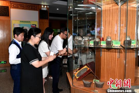 海外华文媒体代表参访天福茶博物院，体验中国茶文化。　王东明 摄