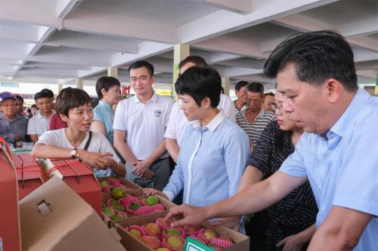 中国侨网琼海市委书记何琼妹现场带头支持与购买农产品。　林雯晶　摄