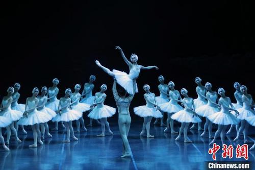 中国侨网上海大剧院迎来了复演后，经典舞剧《天鹅湖》的首场彩排。　张亨伟　摄