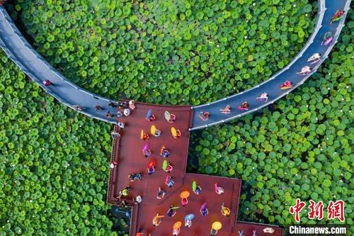 中国侨网航拍潘塘公园。　何华文　摄