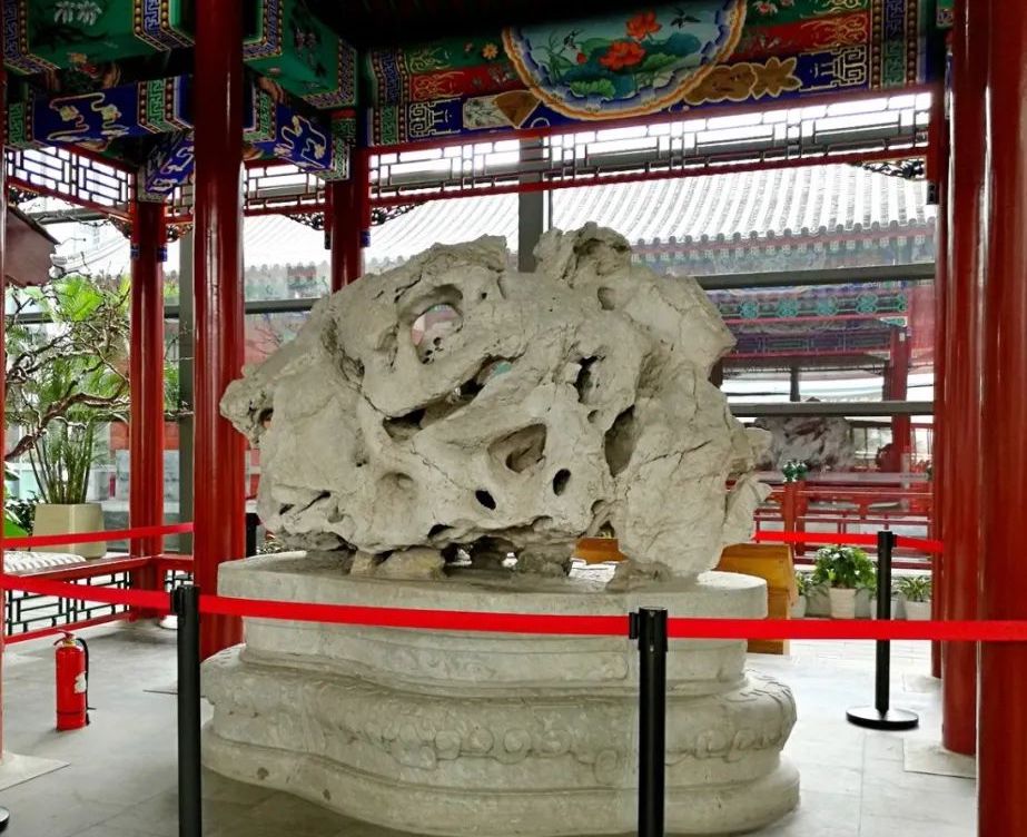 圆明园遗石“青莲朵”，原在中山公园，今藏北京中国园林博物馆