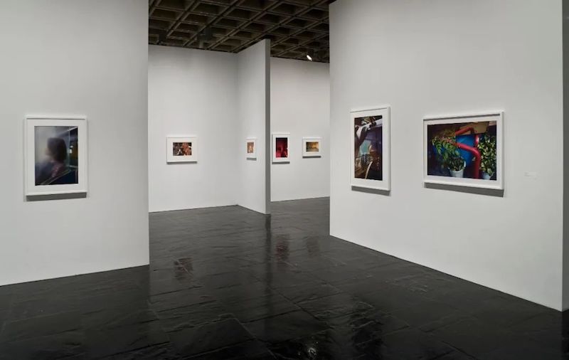 《威廉·埃格尔斯顿：民主的相机、照片和视频，1961-2008年》展览现场 惠特尼美国艺术博物馆，2008年 摄影 | Sheldan C. Collins
