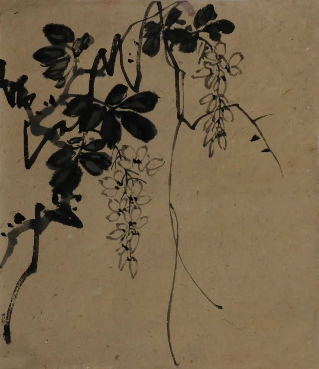    张肇铭  紫藤花 1940年代 中国画  纸本42cmx36cm  