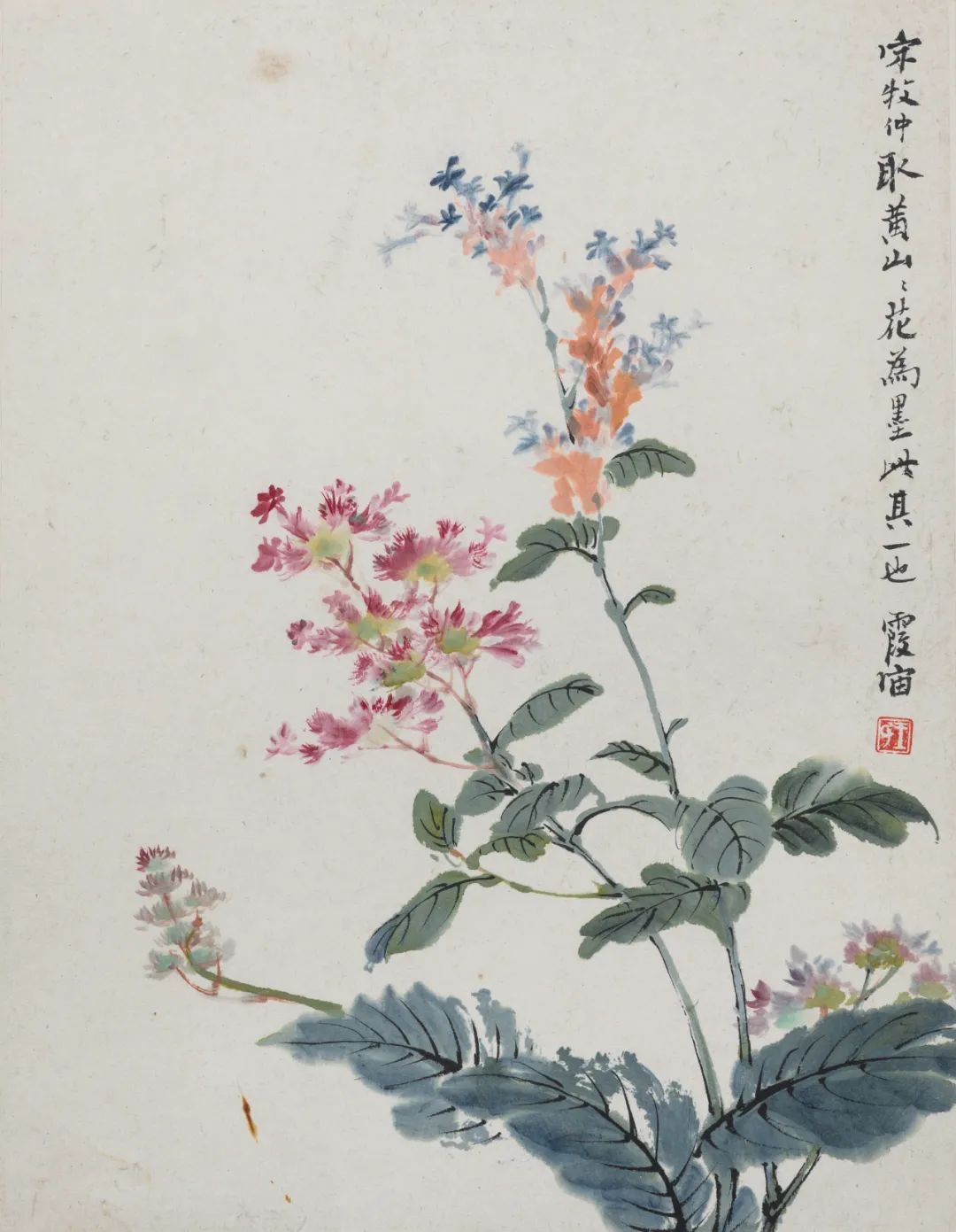 王霞宙 《黄山野卉》 1957年 纸本 33x22.5cm