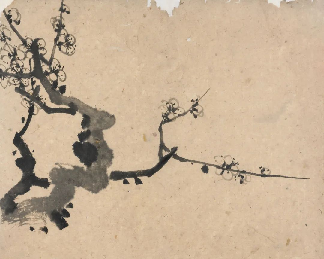 张肇铭  梅花  中国画  1940年代 纸本  36cmx41.5cm