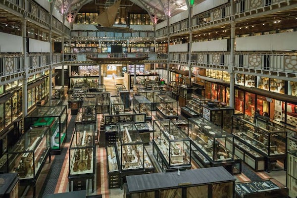 牛津大学皮特里弗斯博物馆以收藏稀奇古怪的珍品而闻名。