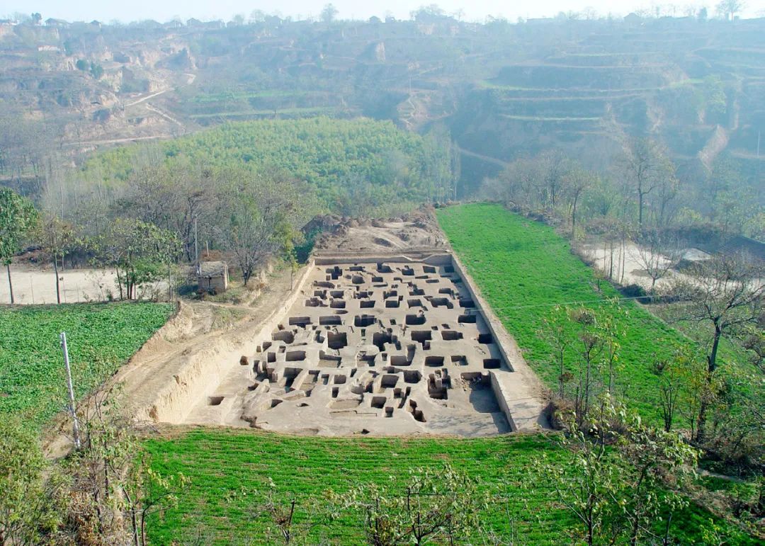 2004年清凉寺墓地发掘现场