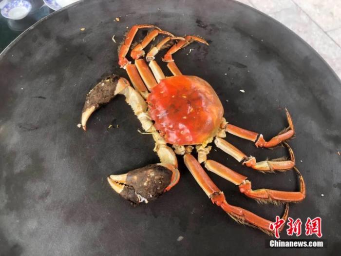 钱东的家人展示吃完螃蟹后，用螃蟹壳拼成的“大闸蟹”。