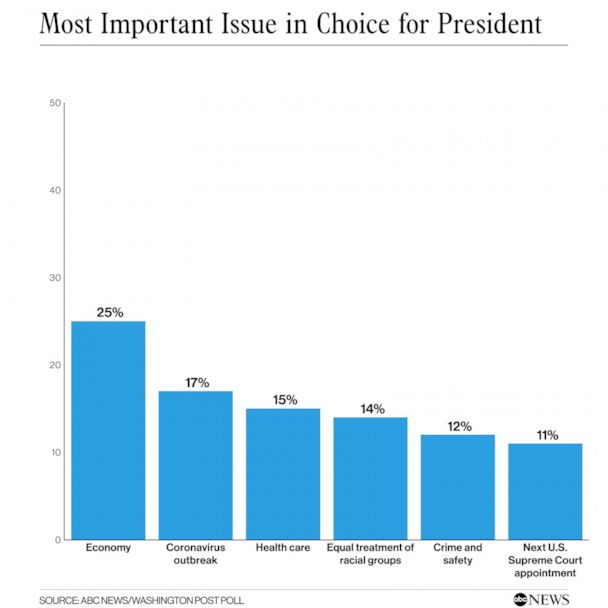 Most important issue in choice for president