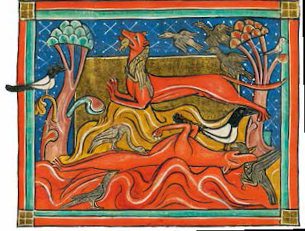 狡猾的狐狸<BR/>狐狸有一身砖红色的皮毛，它代表着动物中最奸诈狡猾的形象。在这幅画里，狐狸躺在地上装死，让鸟儿失去警惕而接近，然后暴起将它们捉住并吃掉。<BR/>《拉丁语动物图册》，约1240 年。牛津，博德利图书馆，博德利手稿764 号， 26 页正面