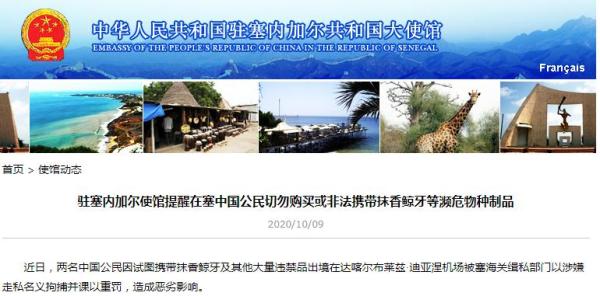 中国驻塞内加尔大使馆网站截图