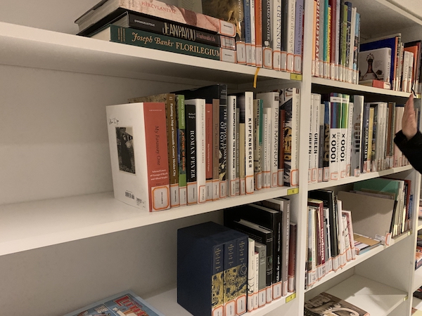 民生美术文献中心收藏的艺术类专业书籍与国外画册.