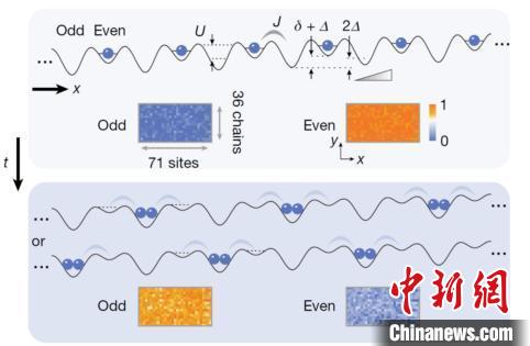 Hubbard模型：描述光晶格中的超冷原子在相邻格点上的隧穿过程和同一格点上的原子之间的相互排斥或吸引作用。在特定的势阱形状下，一维Hubbard模型与Schwinger模型的群对称性相同。中国科大研究团队 供图 供图 摄
