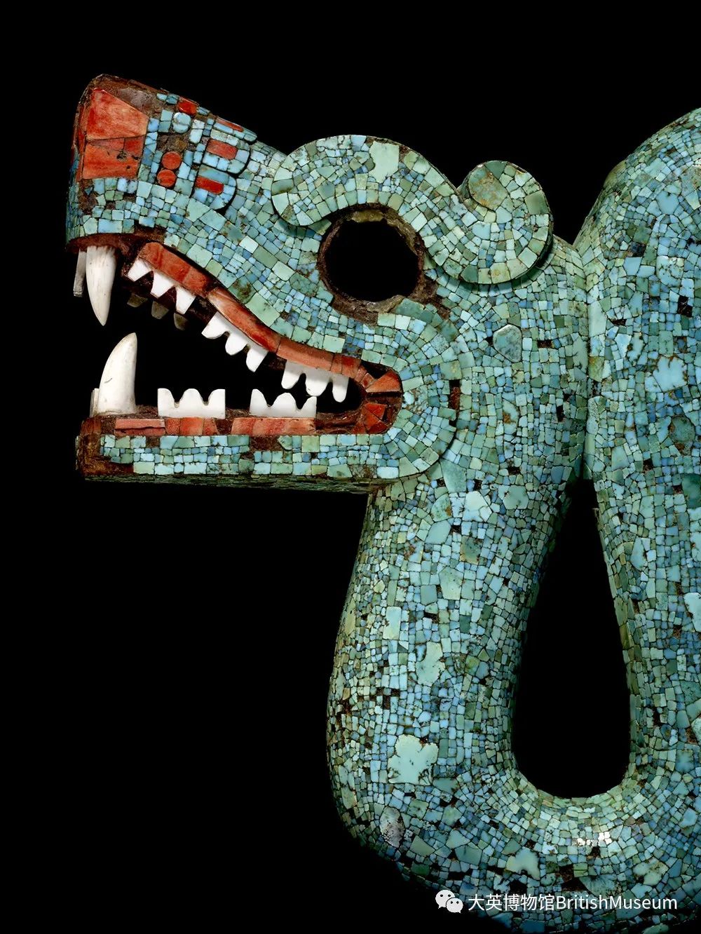 阿兹特克双头蛇 （Aztec Serpent）局部图