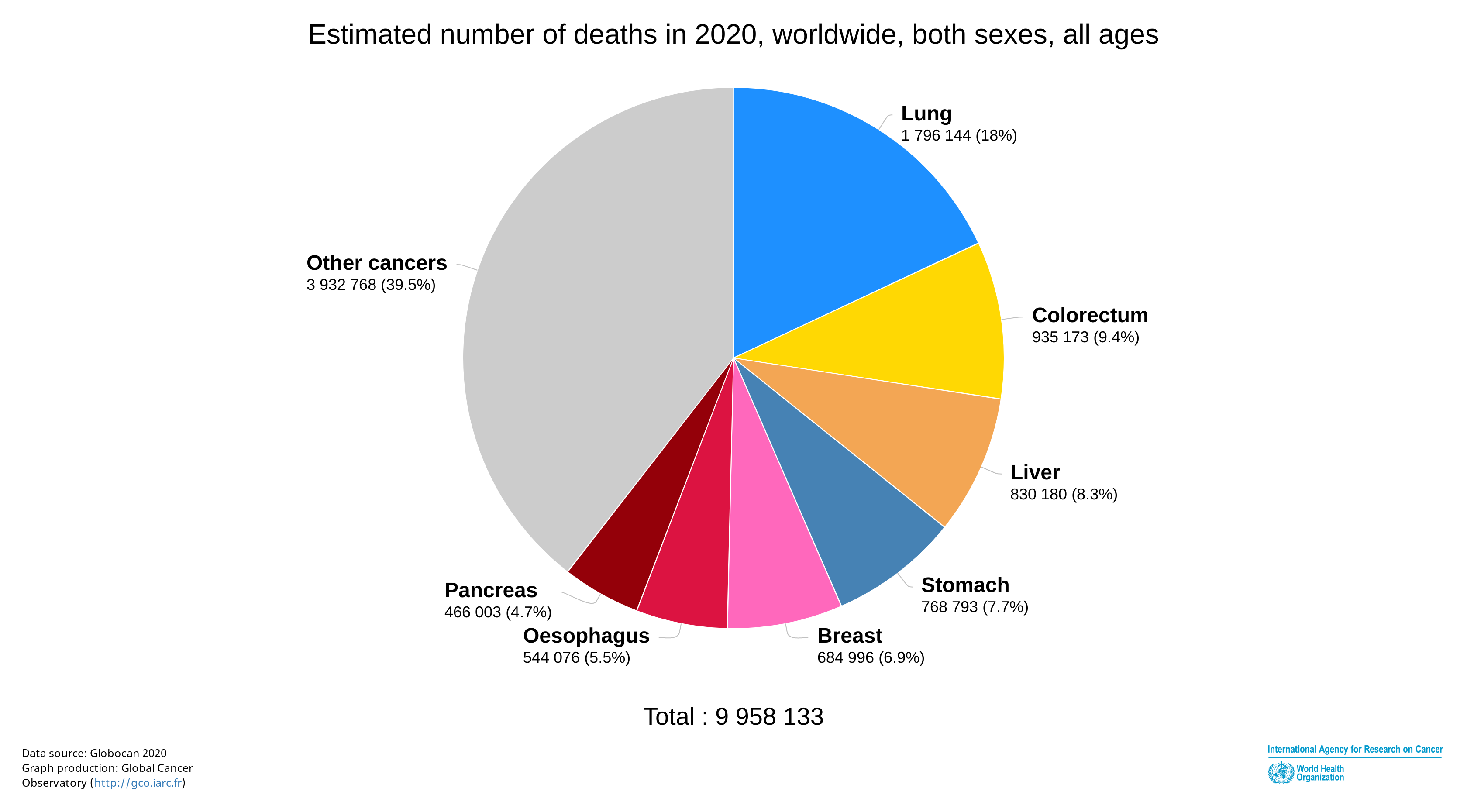 2020 年全球癌症死亡病例。源自：WHO
