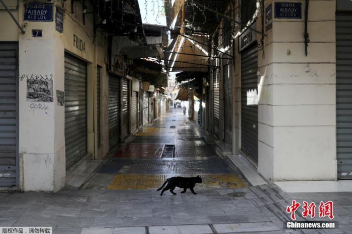 当地时间11月7日，希腊雅典，一只猫在空荡的商业街上漫步。为遏制新冠疫情，自当地时间7日早晨6时起，希腊全国进入为期三周的封锁状态。包括零售店、餐厅、咖啡馆等企业，将在封锁期间暂停营业。