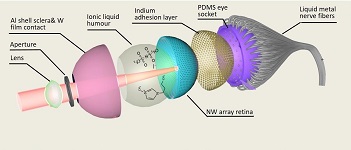 世界上第一个带有3D视网膜的球形仿真眼。