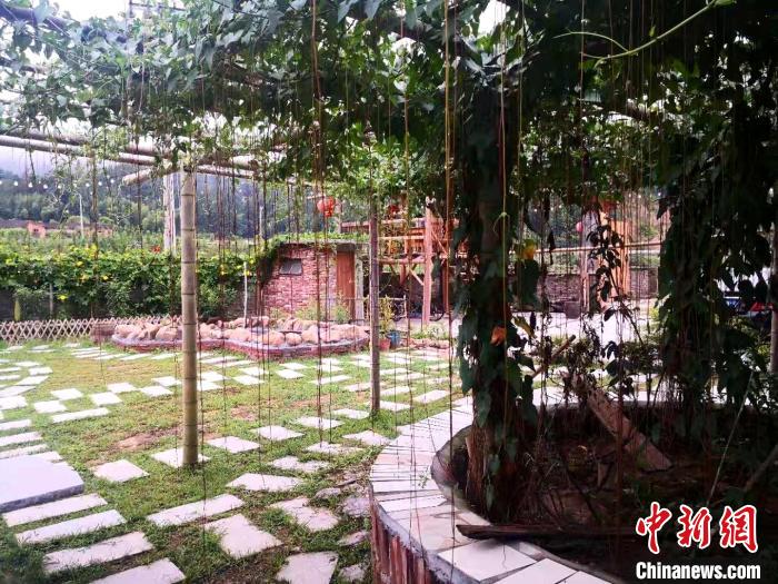 图为“大坑小院”庭院一角。 郭玲 摄 图为“大坑小院”庭院一角。 郭玲 摄
