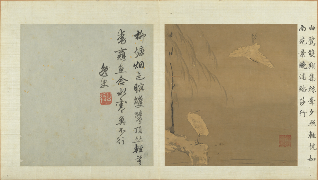 （明）孙龙《写生册》之“柳塘白鹭”中国台北故宫博物院藏
