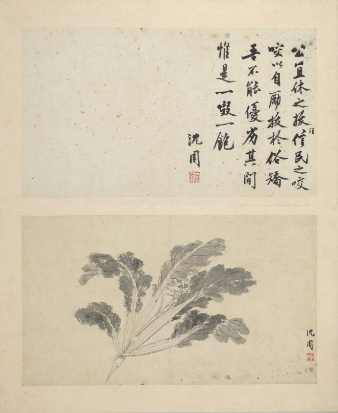 （明）沈周《写意册》之“白菜”中国台北故宫博物院藏