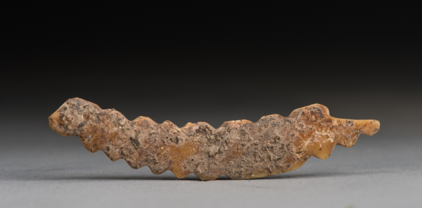 双槐树遗址出土的五千年前的牙雕蚕，证明中国先民在5000多年前已经开始育蚕制丝