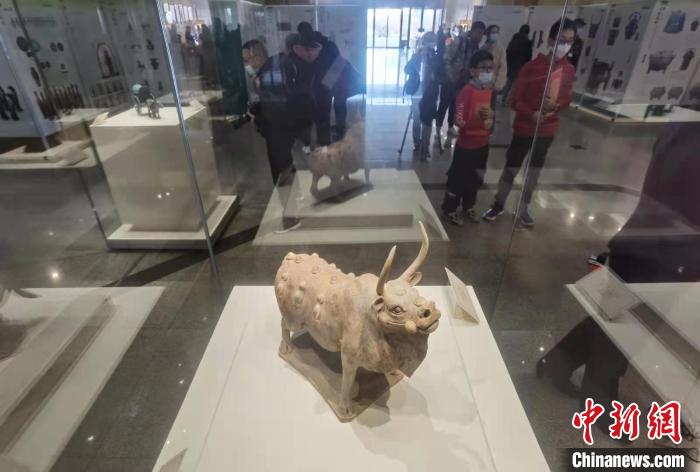 北齐时期娄睿墓出土的红陶牛 胡健 摄