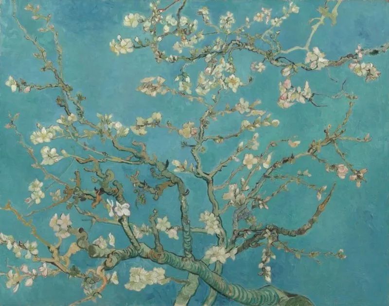 《杏花开》 1890年2月创作于圣雷米，现藏于阿姆斯特丹梵高博物馆