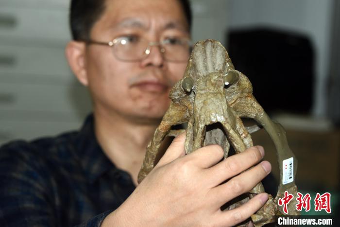 刘俊研究员展示介绍20世纪30年代地质学家袁复礼在新疆发现的二齿兽化石，这也是中国最早发现的二齿兽化石之一。 孙自法 摄