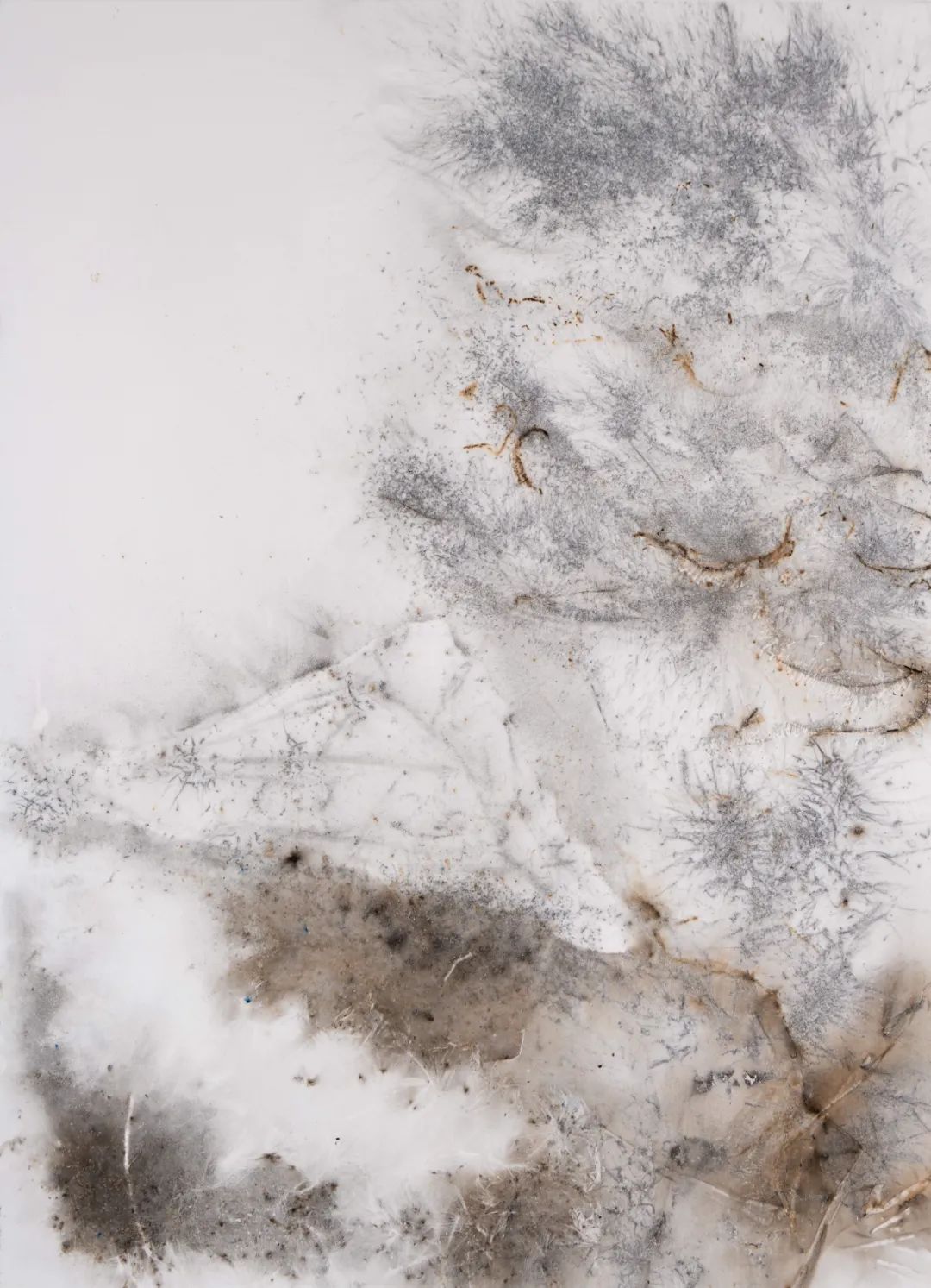 蔡国强,《有松树的圣维克多山》，2019年。火药、画布，275 x 200 cm，Christopher Burke 摄