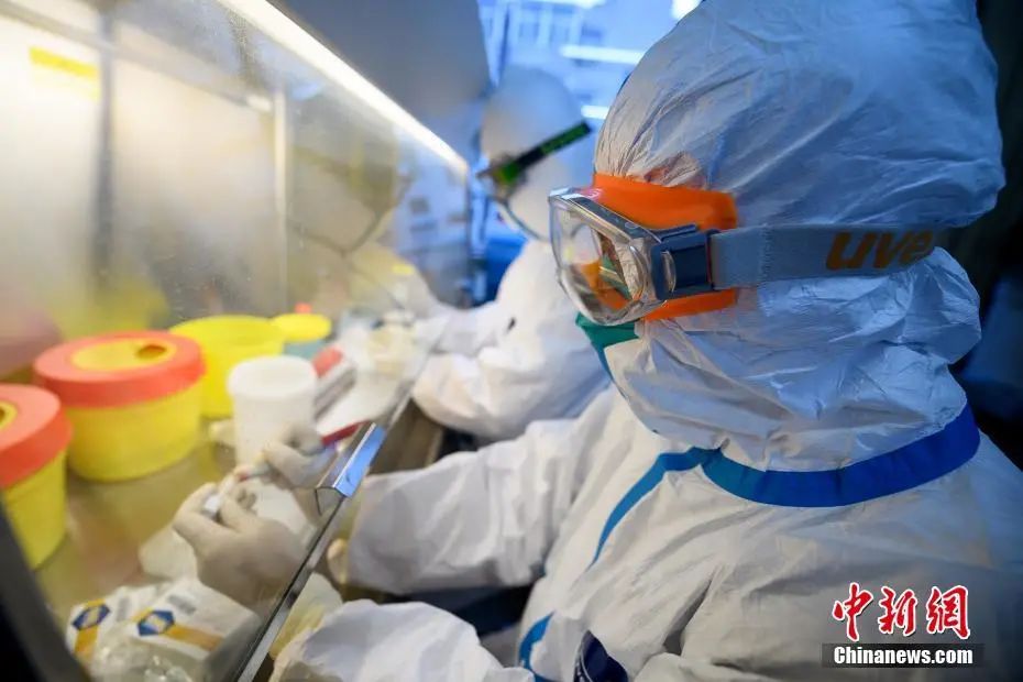 微生物检验科的工作人员在实验室内将样本进行核酸检测。<a target='_blank'  data-cke-saved-href='http://www.chinanews.com/' href='http://www.chinanews.com/'>中新社</a>记者 韦亮 摄