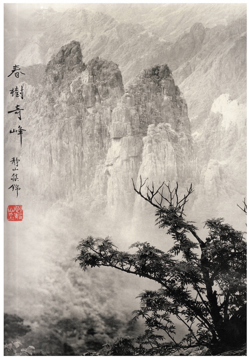 郎静山，《春树奇峰》， 1934