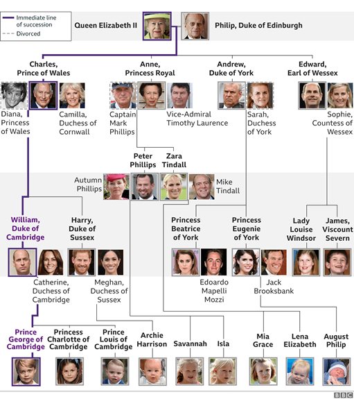 英国王室族谱图 图源：BBC
