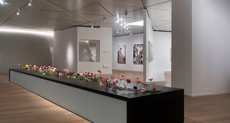 2020年上海市美术馆优秀展览项目之一，明珠美术馆展览“以花之名”现场。