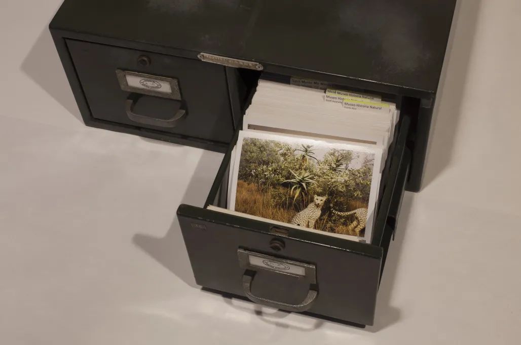 阿尔贝托·巴拉亚，《在地档案》，2003 -2020，金属档案盒，已归类并作标记的彩印相片约2000张，金属盒：51 x 45 x 18 cm，相片：10 x 15 cm。艺术家供图。