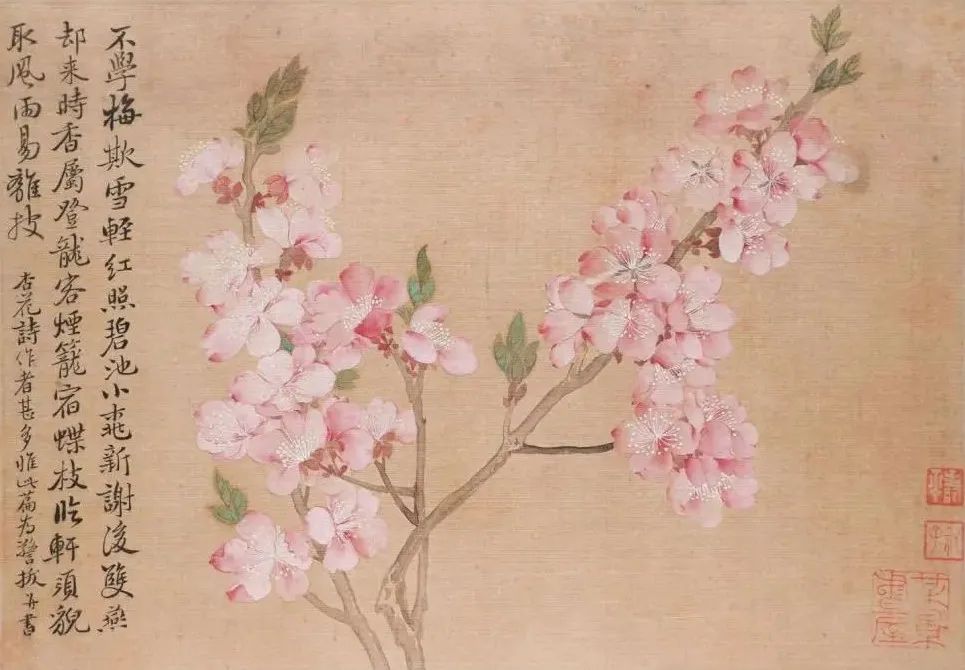 恽寿平《花卉册》之《杏花》上海博物馆藏