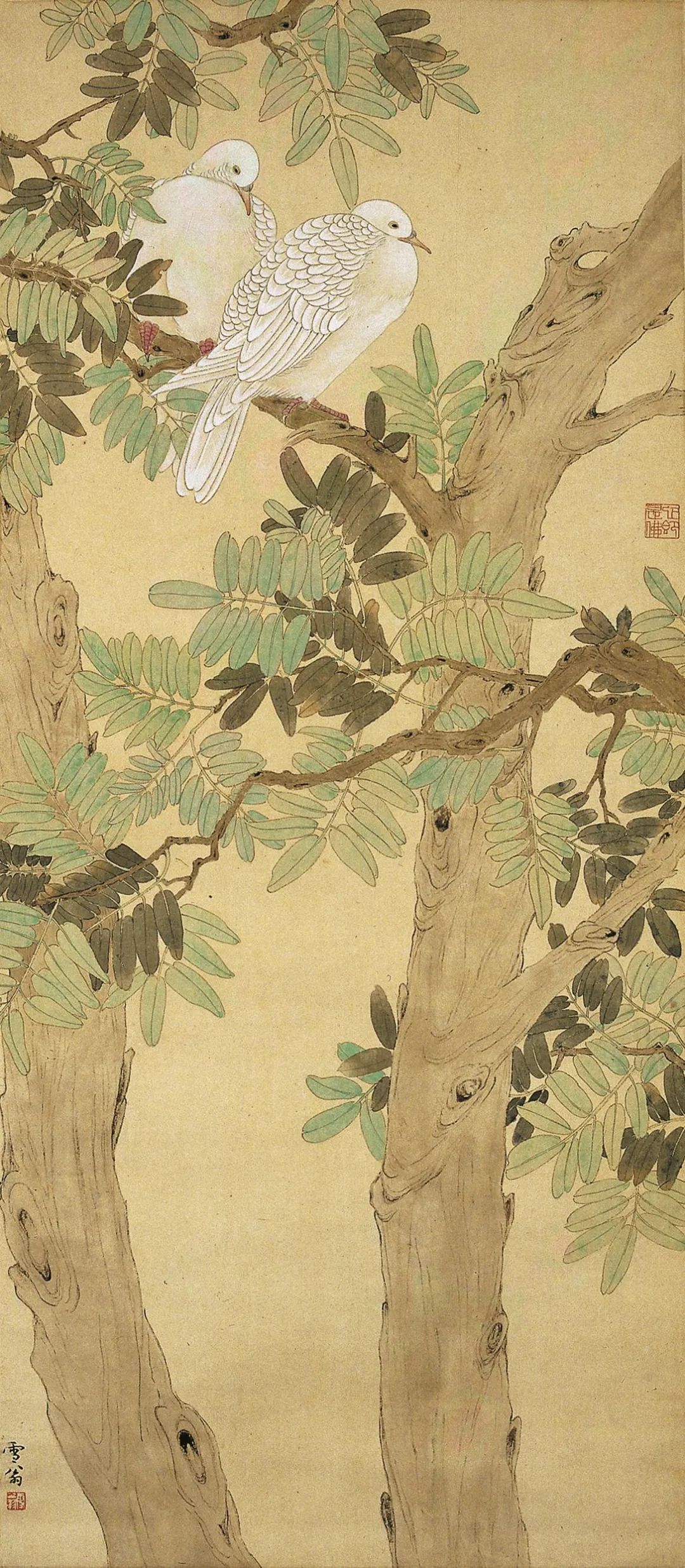 《槐荫双鸠》 陈之佛 中国画 93.5×40.5cm 1952年 南京博物院藏