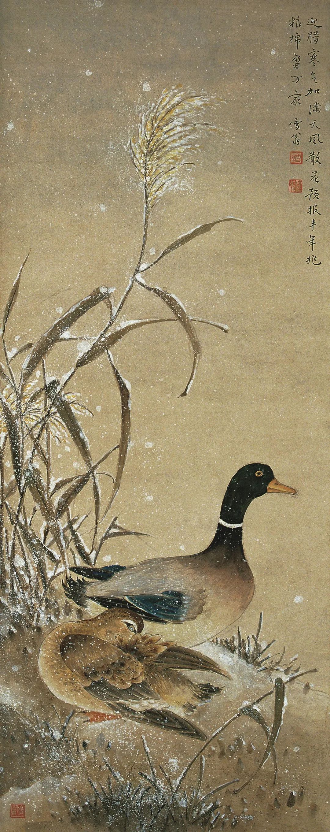 《雪芦双雁》 陈之佛 中国画 100.15×42cm 1960年 南京博物院藏