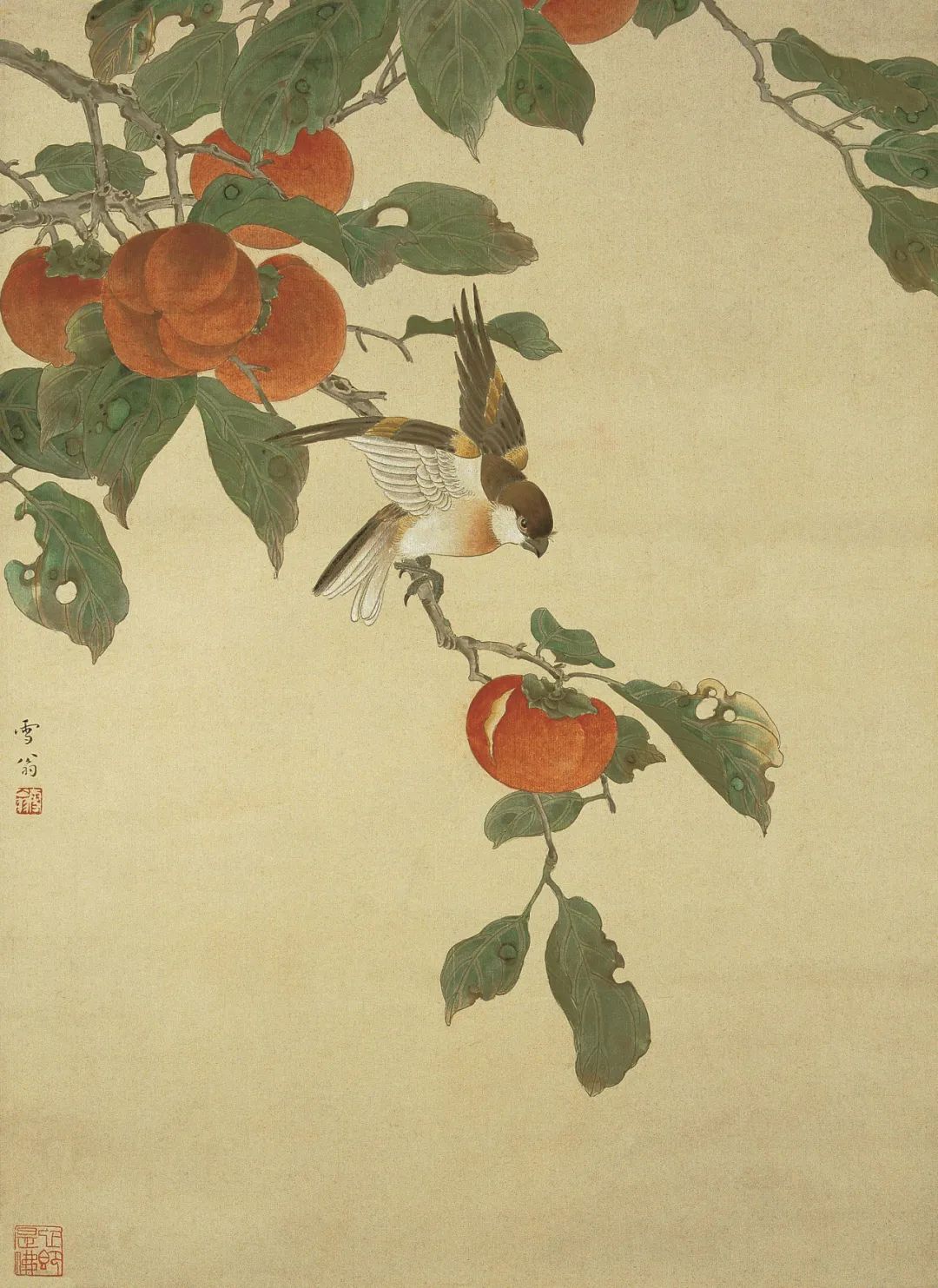 《红柿小鸟》 陈之佛 中国画 53×39.1cm 1953年 南京博物院藏
