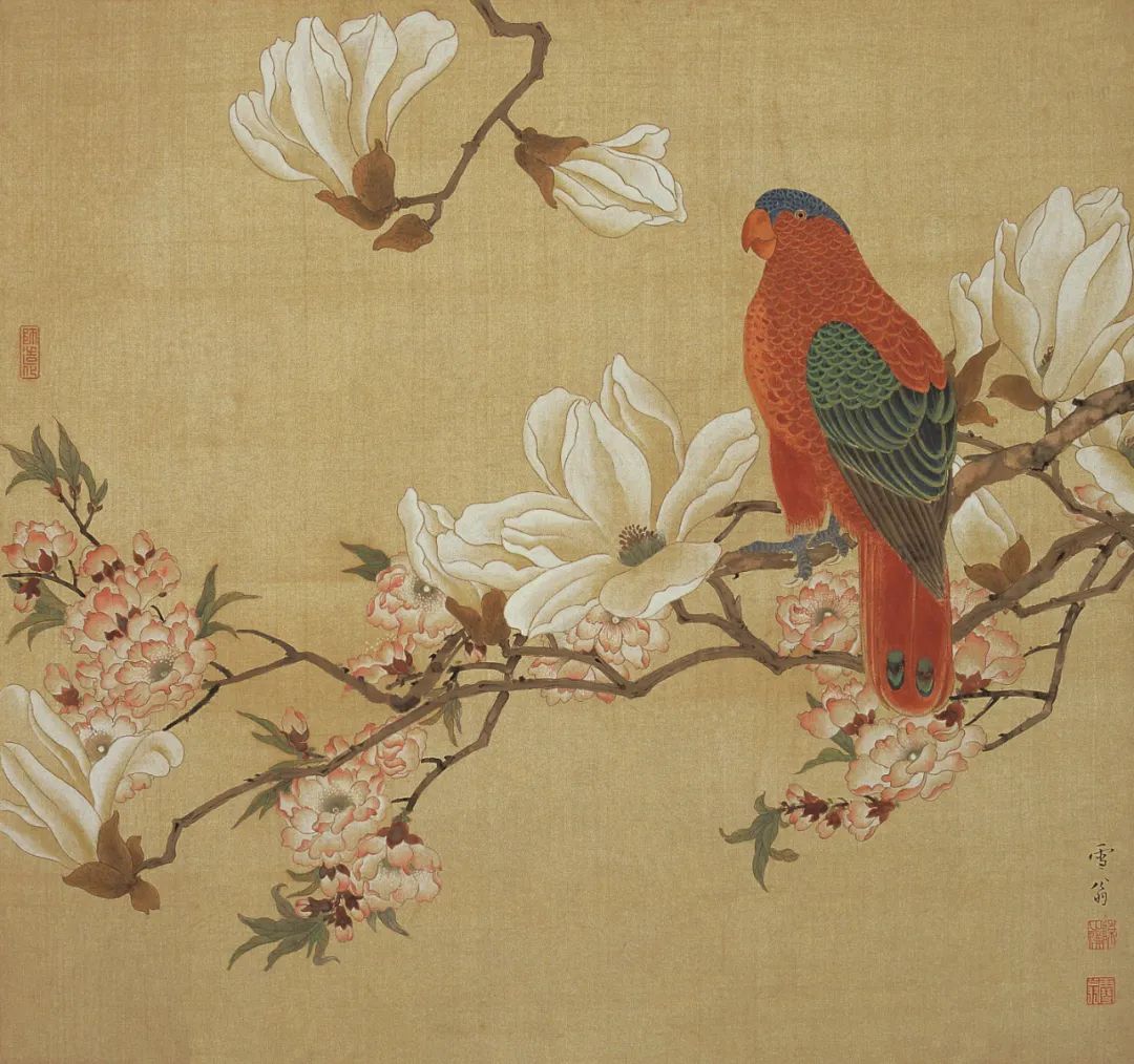 《玉兰赤鹦》 陈之佛 中国画 48.6×51cm 1942年 南京博物院藏