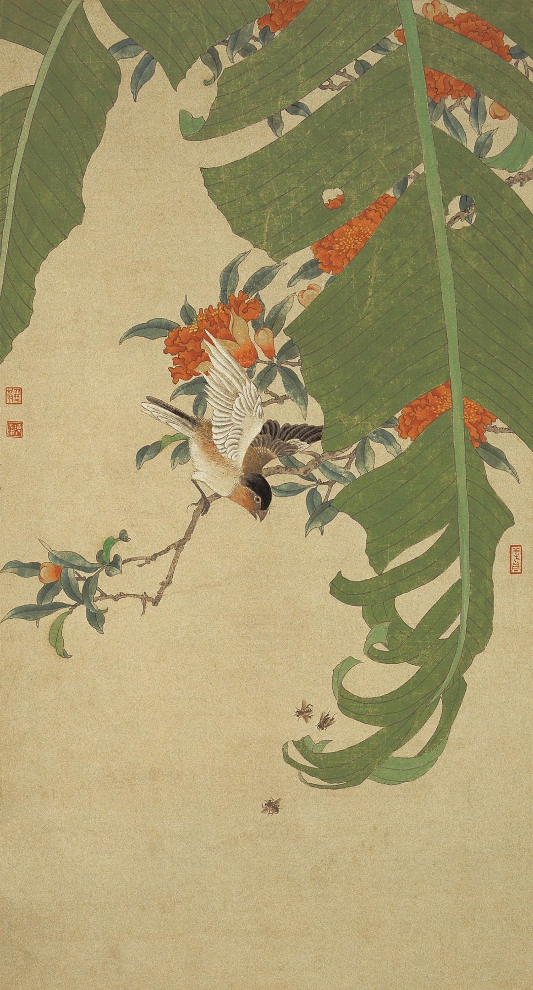 《榴花芭蕉》 陈之佛 中国画 62.7×33.6cm 1956年 南京博物院藏