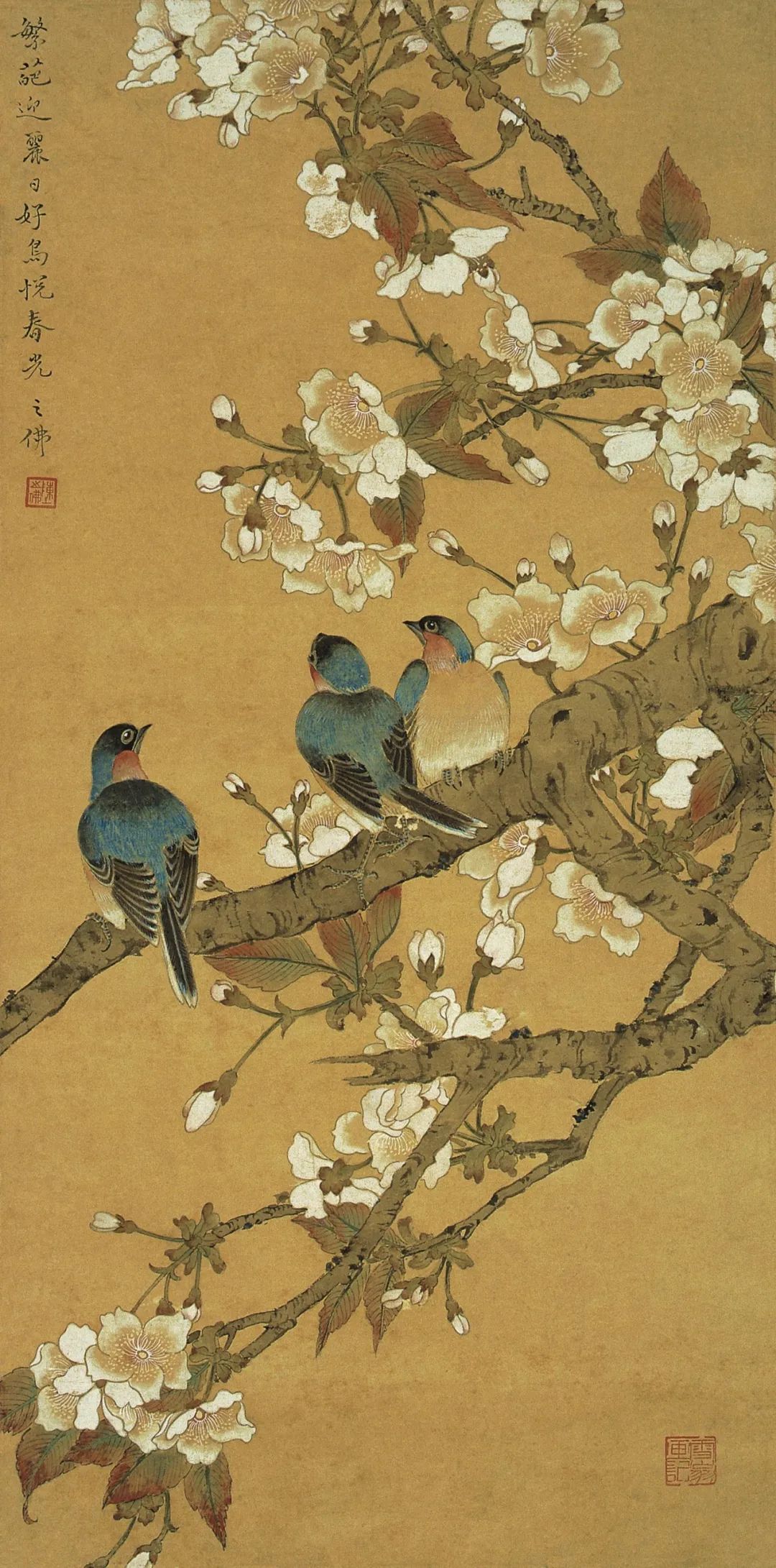 《樱花蓝雀》 陈之佛 中国画 63×31cm 1956年 南京博物院藏