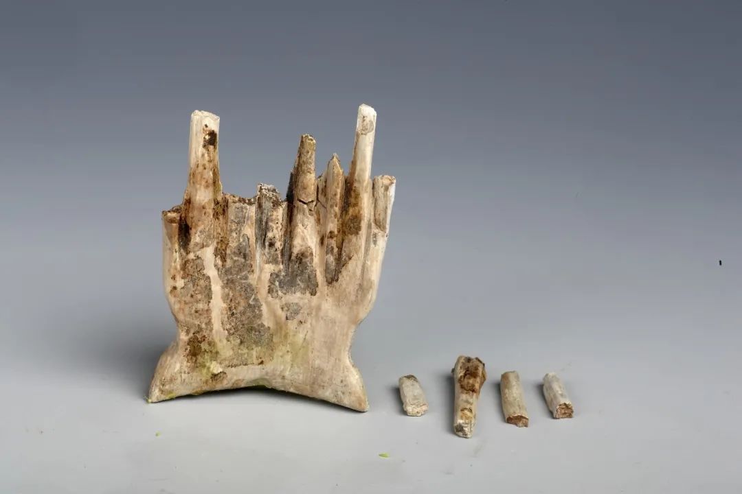 象牙梳 新石器时代·马家浜文化 绰墩遗址出土 昆山市文物管理所藏