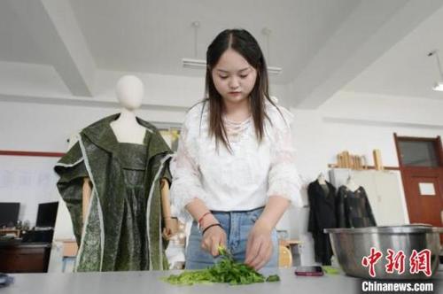 中国侨网唐丹阳在制作可食用服装的材料张瑶摄