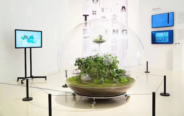 中央美术学院设计学院有关《植物智能计划》的毕业作品