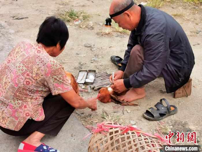 师傅为村民提供“阉鸡”服务 李晓春 摄