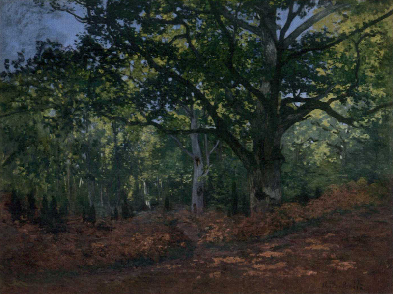 莫奈《枫丹白露森林》1865年