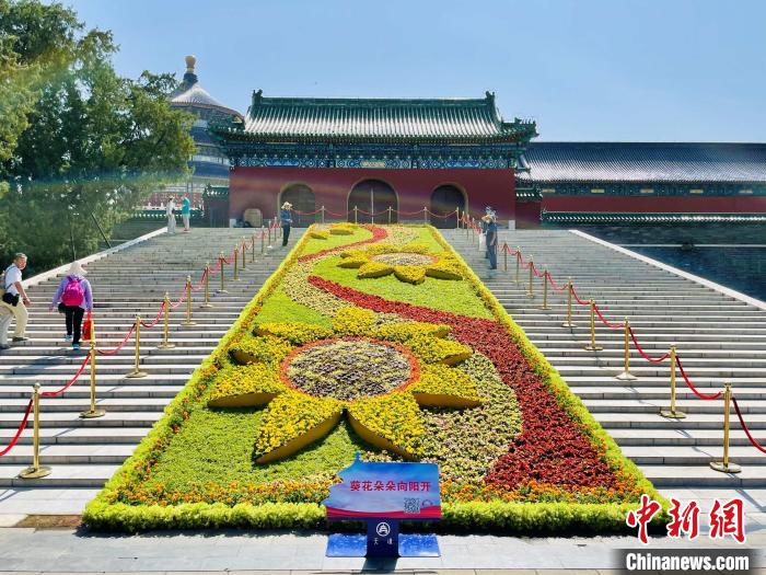 天坛公园的“葵花朵朵向阳开”主题花坛。　北京市公园管理中心供图