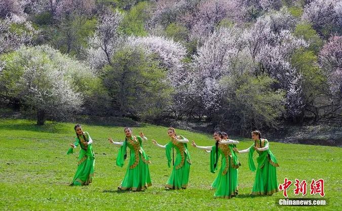 资料图：图为新疆歌舞表演。吴志恒 摄

