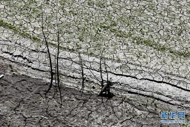 “诡异”高温席卷北美：加州遭严重旱灾多地进入紧急状态 影响有多大？