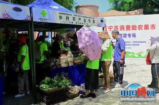 中国侨网游客在乡村振兴农产品市集购买农特产品。　主办方供图